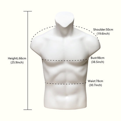 DE-LIANG Fiberglass Fashion Male Sport Mannequin Torso,Elbow,Arms,Waist And Hip Protector Props,Silver Mannequin Props for Athletic Brace Display