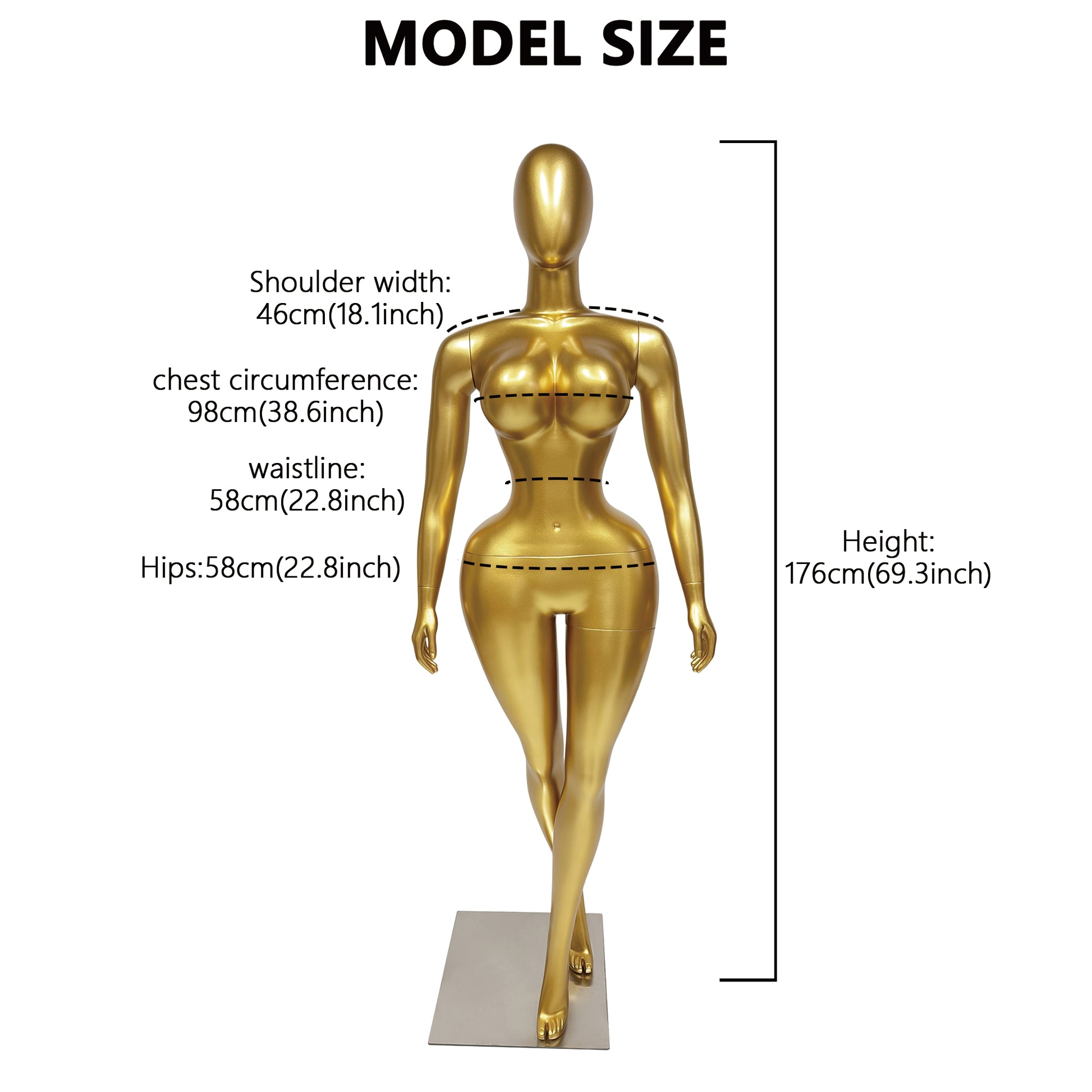 gold-mannequin-measurements-height-176cm-98-58-98