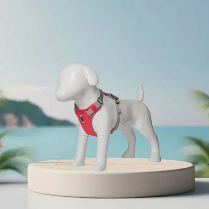 Maniquí de perro de alta calidad, modelo de ropa para mascotas de fibra de vidrio, maniquí de tienda de mascotas, expositor de ropa para perros, soporte para collares de perro.