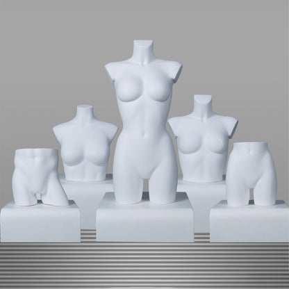 DE-LIANG Female Half Body Mannequin Torso Set,Matte White Fiberglass Dress Form Bust & Hip Display for Clothing, Lingerie, Underwear & Boutique Window Show